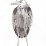 22-03-24-reiger_W