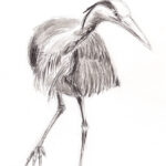 23-02-03-reiger-W