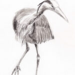 23-02-03-reiger-W
