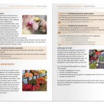 groenproeven-pagina-2