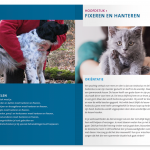 kenniskiem-pagina-1