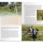 pagina’s 2021-LOOD-2-8